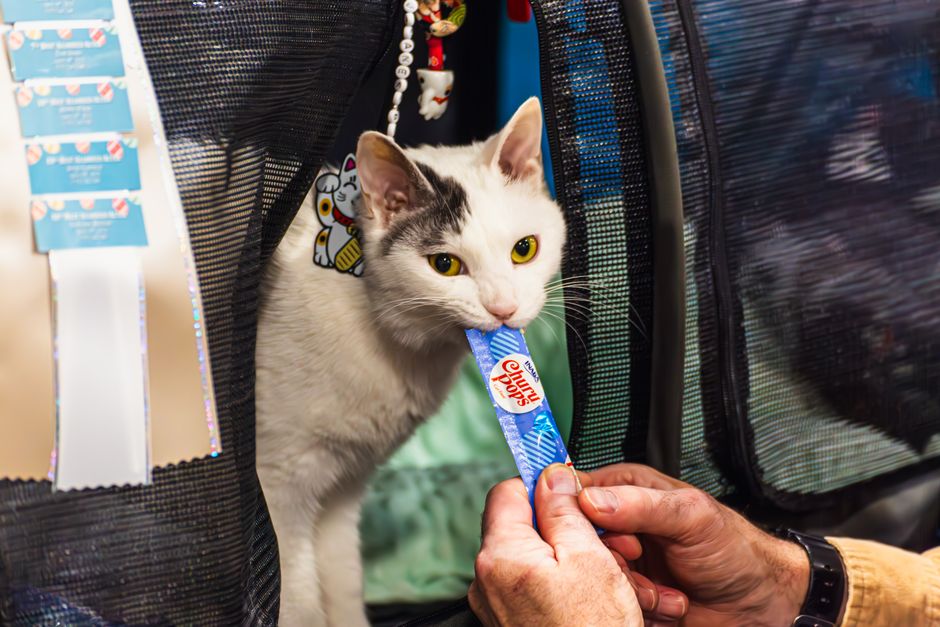 1. Global Pet Expo
