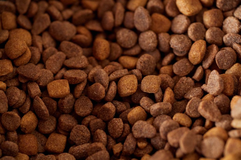 Key Regulatory Changes Affecting Pet Products