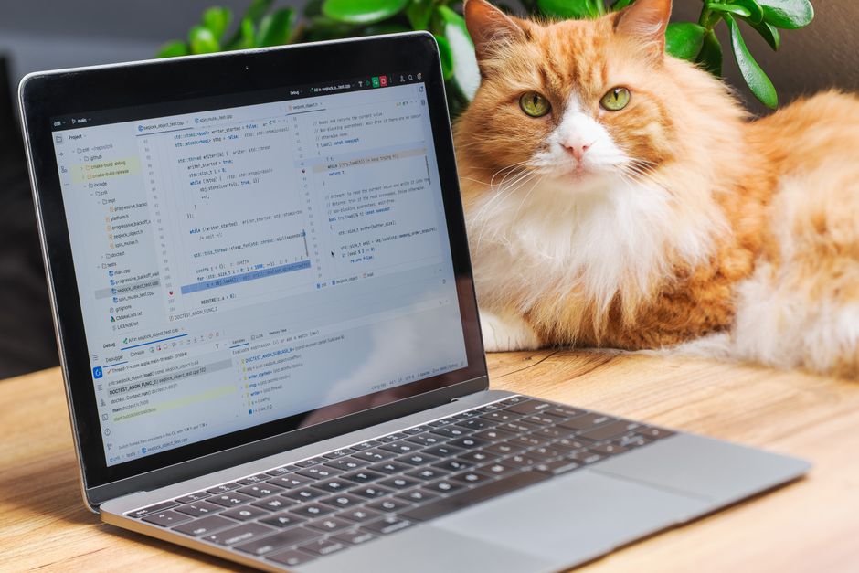 3. Tech-Integrated Pet Products