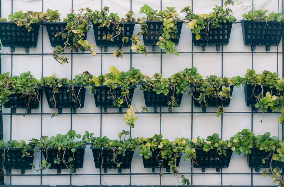1. Sustainability Takes Center Stage in Home Textiles