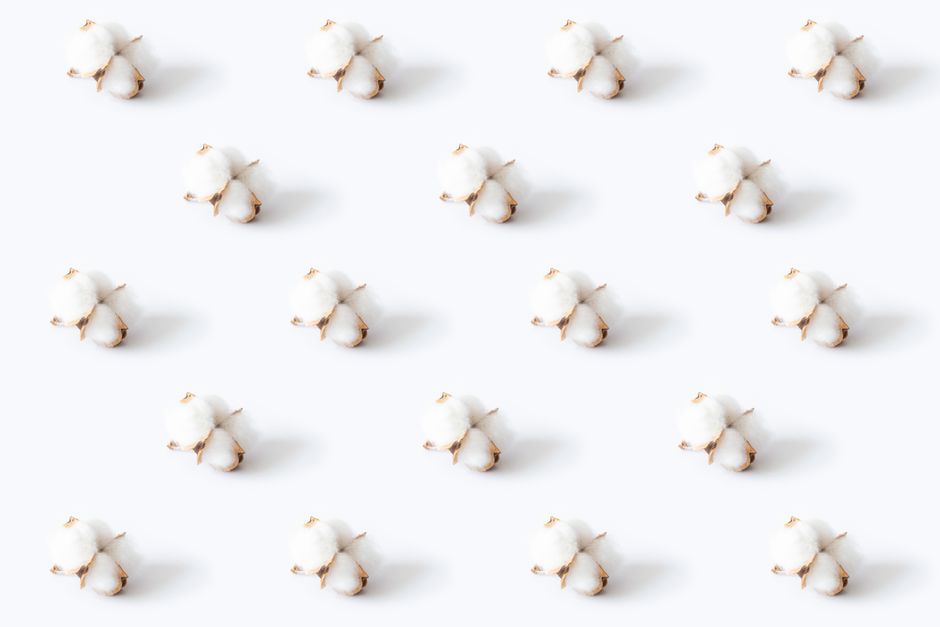 Trend 1: Sustainable and Eco-Friendly Materials