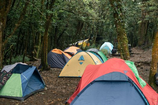 Sustainable Camping Gear: Eco-Friendly Innovations Guide