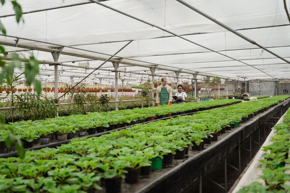 Introduction: The Growing Importance of Sustainability in Electrical Consumables