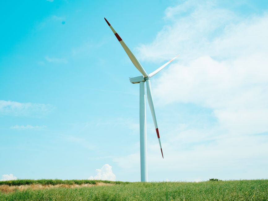 1. The Rise of Biodegradable Cable Ties