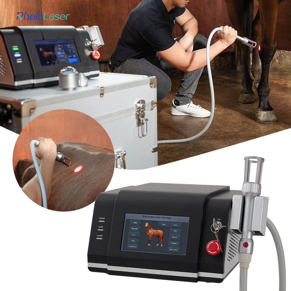 Veterinary Laser Therapy Machine 980nm 810nm for Equine Tendon Injury & Pet Pain Relief