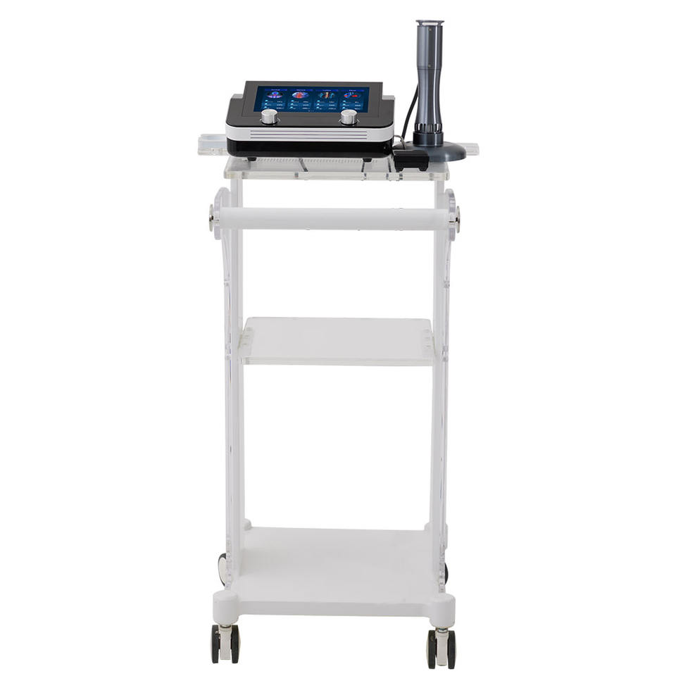 Swave-200 ESWT Shockwave Therapy Machine for Animal Pain Relief