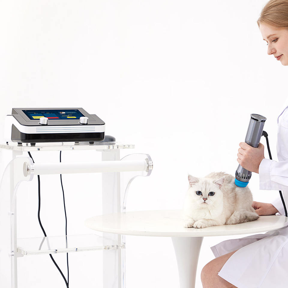 Swave-200 ESWT Shockwave Therapy Machine for Animal Pain Relief
