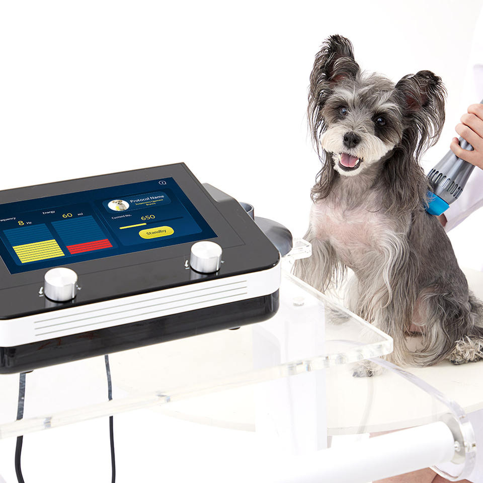 Swave-200 ESWT Shockwave Therapy Machine for Animal Pain Relief
