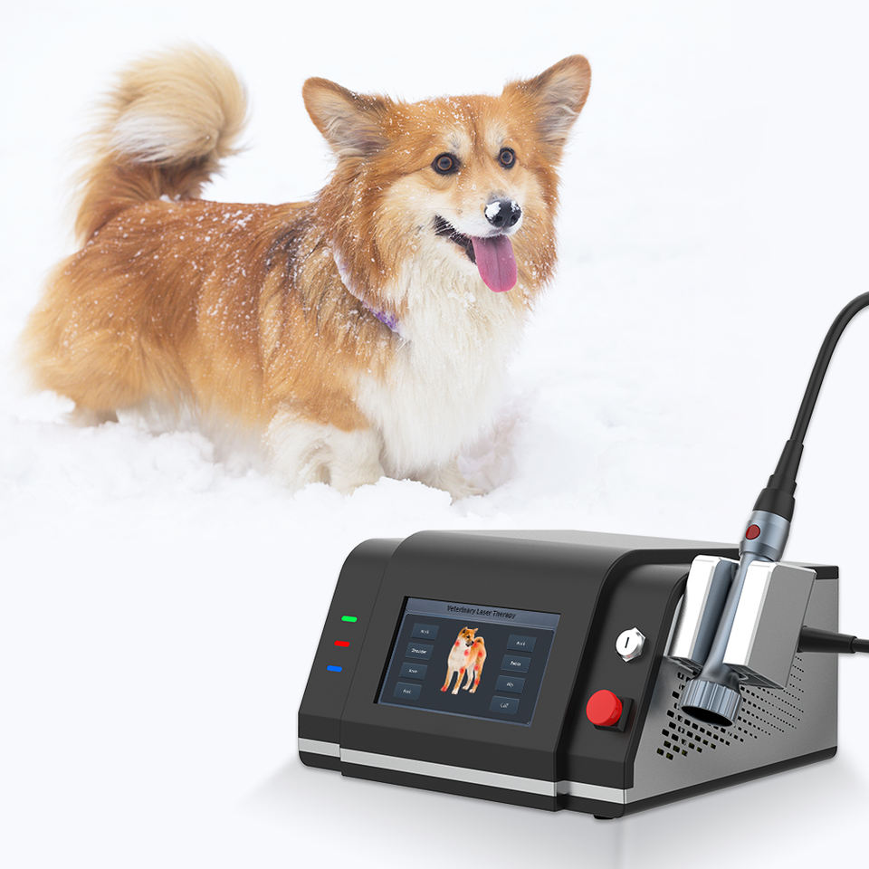 Veterinary Laser Therapy Machine 980nm 810nm for Equine Tendon Injury & Pet Pain Relief