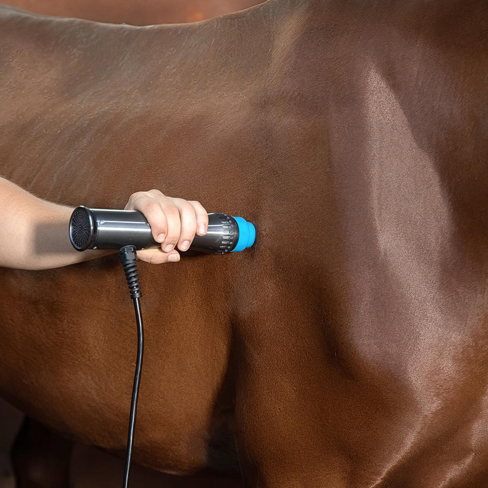 Swave-200 ESWT Shockwave Therapy Machine for Animal Pain Relief