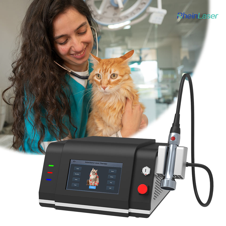 Veterinary Laser Therapy Machine 980nm 810nm for Equine Tendon Injury & Pet Pain Relief
