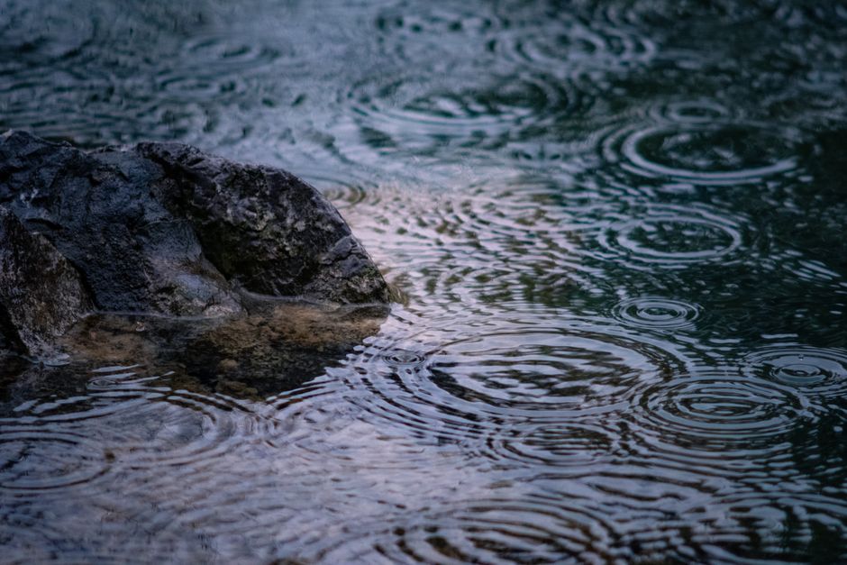 The Ripple Effect: Understanding the 2024 Healthcare Layoff Landscape