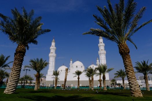 أهم أخبار شركات معدات السلامة في السعودية 2024