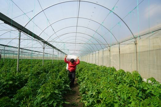مميزات حقيبة الأمتعة المصنوعة من البولي كربونات | دليل شامل