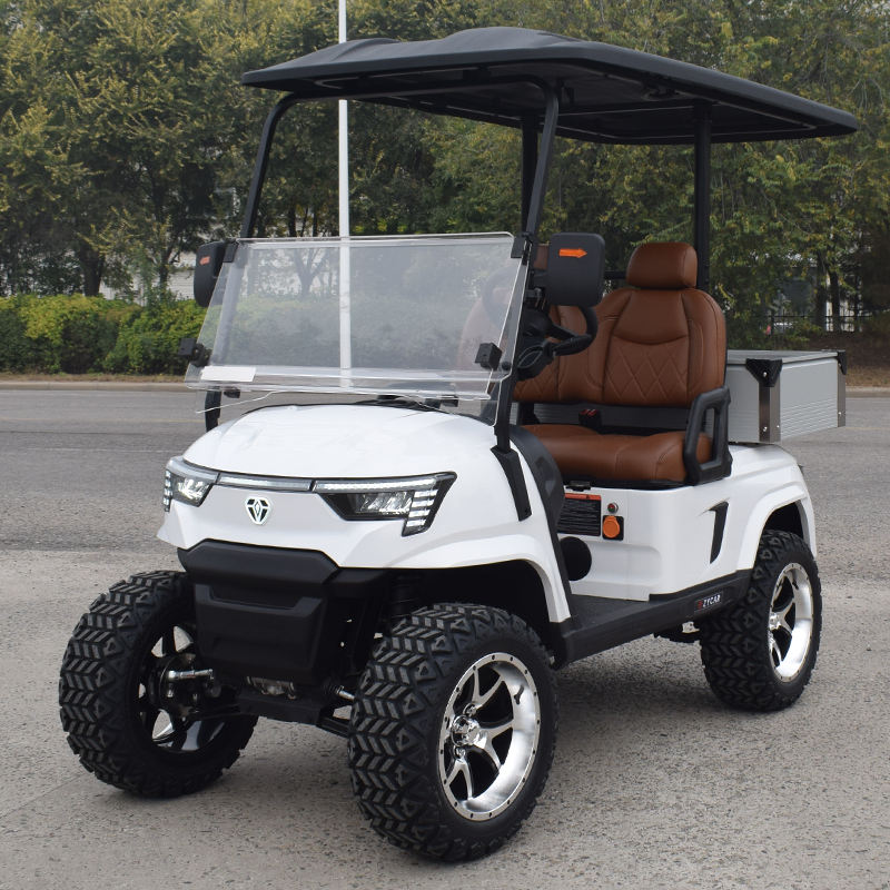 Carrinho de Golfe Elétrico 2 Lugares com Bateria de Lítio para Venda