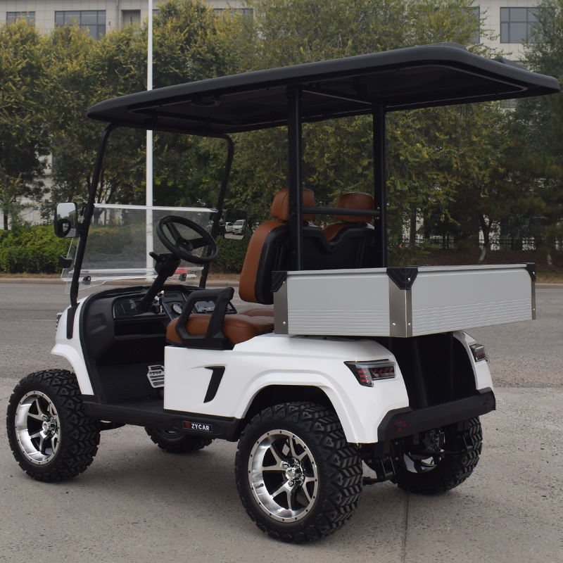 Carrinho de Golfe Elétrico 2 Lugares com Bateria de Lítio para Venda