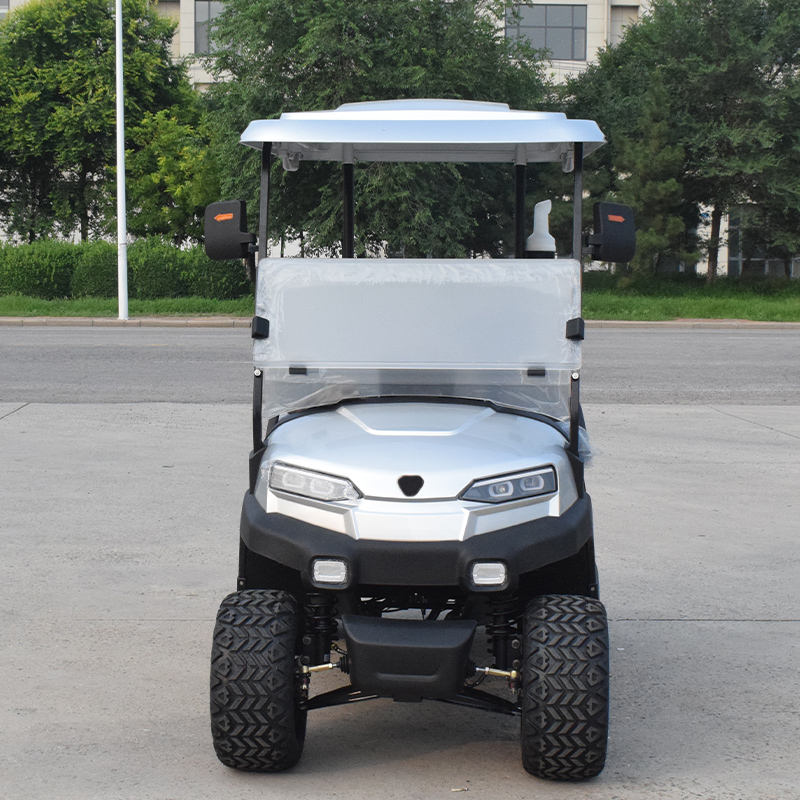 Carrinho de Golfe Elétrico 2 Lugares com Pneus Off-Road e Sistema 48V AC