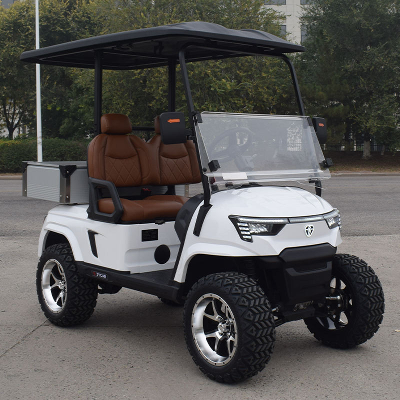 Carrinho de Golfe Elétrico 2 Lugares com Bateria de Lítio para Venda