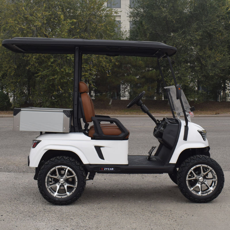 Carrinho de Golfe Elétrico 2 Lugares com Bateria de Lítio para Venda
