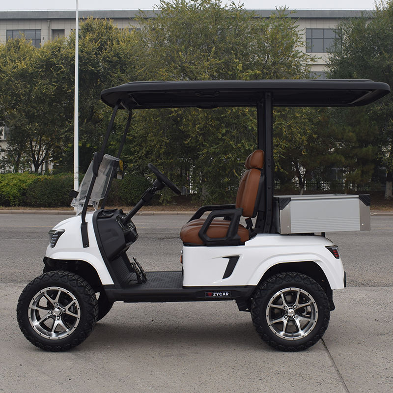 Carrinho de Golfe Elétrico 2 Lugares com Bateria de Lítio para Venda