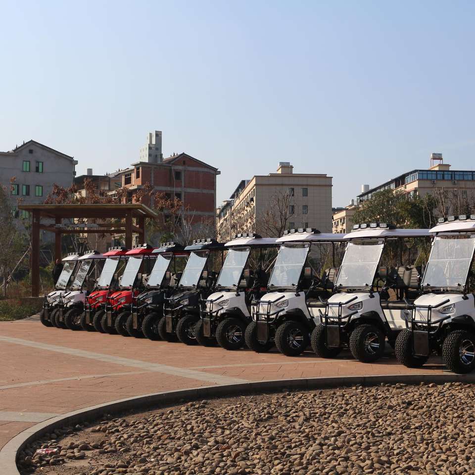 Carrinho de Golfe Elétrico LSV 4 Lugares com Bateria de Lítio e Pneus Off-Road