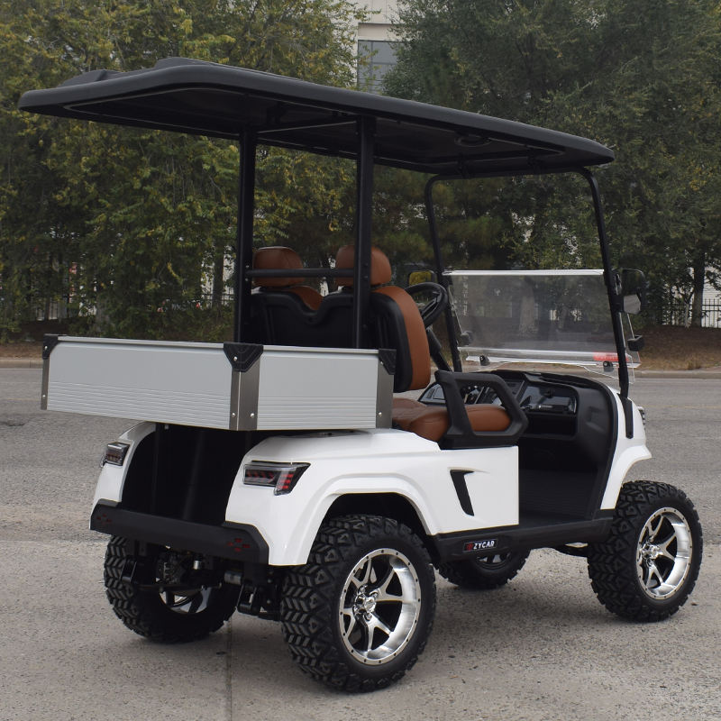 Carrinho de Golfe Elétrico 2 Lugares com Bateria de Lítio para Venda