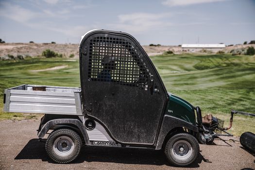 Carro de Golfe para Uso Industrial: Vantagens