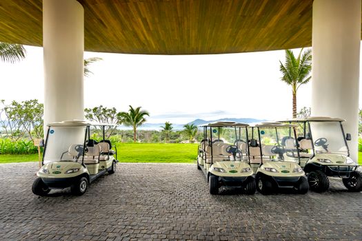 Como Escolher Carros de Golfe para Resorts: Guia Completo