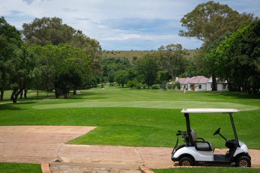 Carro de Golfe para Fazenda: Utilidades e Modelos