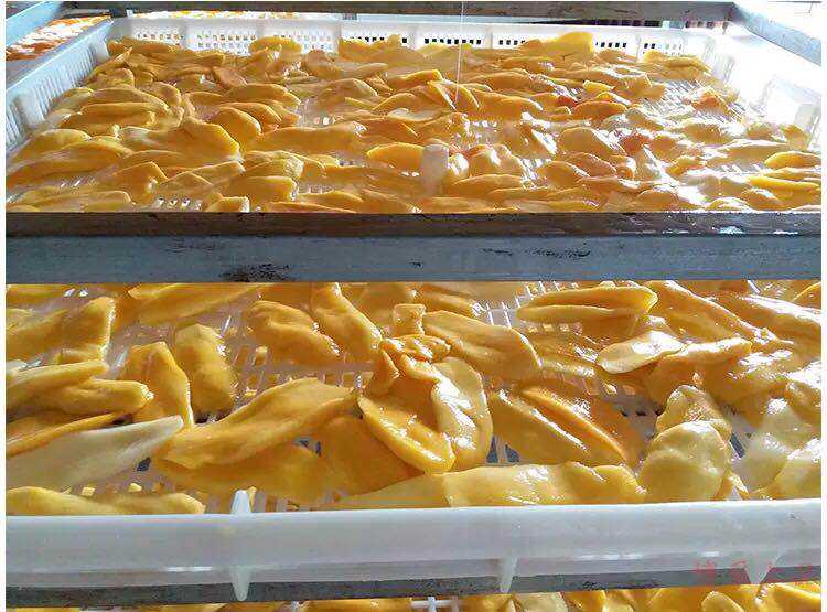 Getrocknete Mango aus den Philippinen – Süß & Natürlich, Großhandel