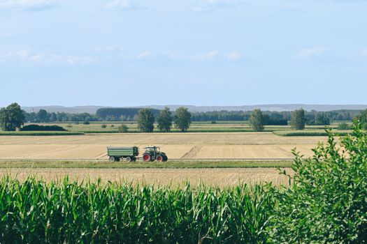 Direktvermarktung von Agrarprodukten: Strategien für Landwirte