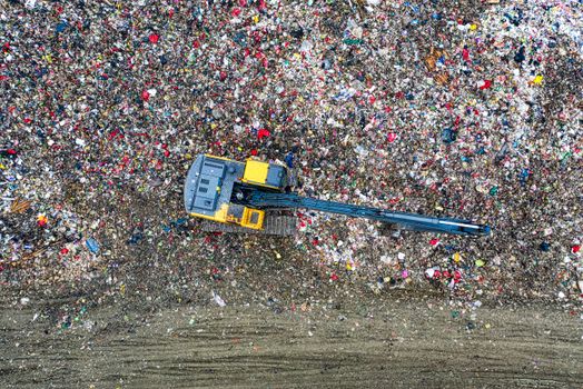 Lebensmittelabfall reduzieren: Tipps für Unternehmen