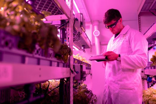 Smart Farming: Die besten Lösungen für Landwirte