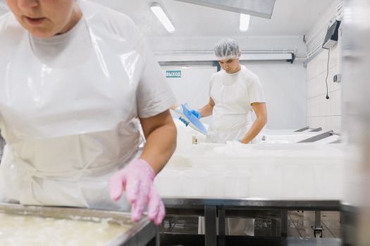 Risikomanagement in der Lebensmittelsicherheit: Leitfaden