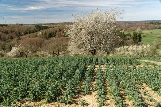 Nachhaltige Landwirtschaft 2025: Die 7 wichtigsten Trends