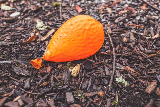Nachhaltigkeit bei Latexballon: Grüne Strategien im Überblick