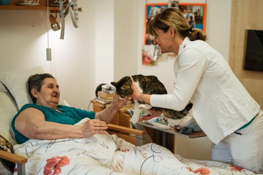 Hauswirtschaftliche Pflege: Alle Leistungen im Überblick