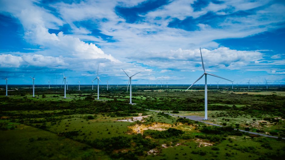 Étude de cas : une PME agroalimentaire adopte la cogénération