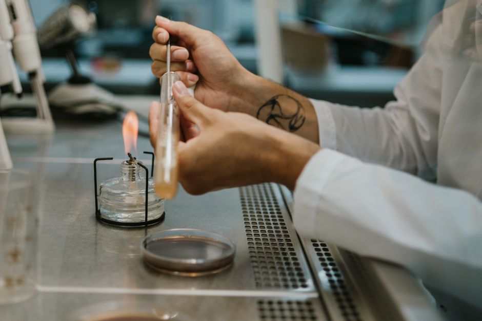 3. La technologie au service de l'extraction : des arômes plus purs et plus complexes