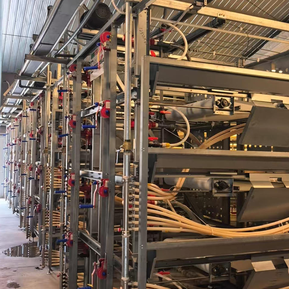 Cages d'élevage de poulets de chair galvanisées à étages empilés
