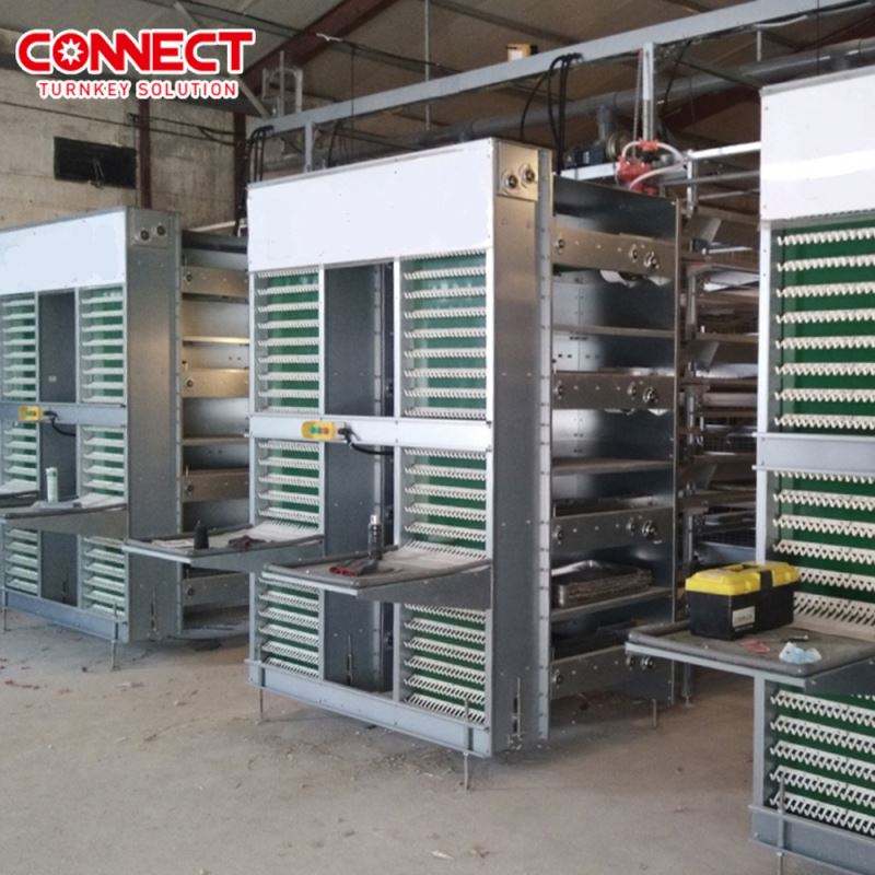 Cages en batterie automatiques pour poules pondeuses H-Type avec système d'alimentation