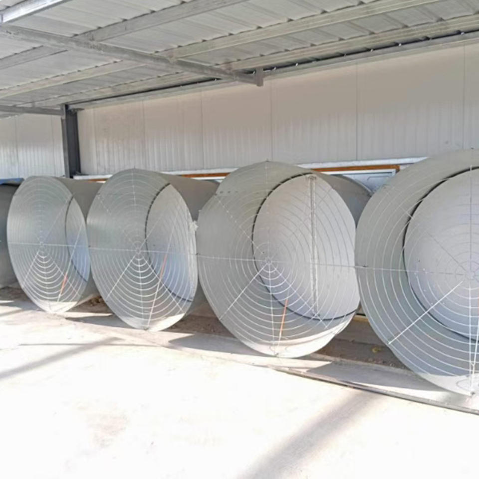 Cage à poulets automatique multicouche H-Type avec collecte d'œufs et ventilation optimisée