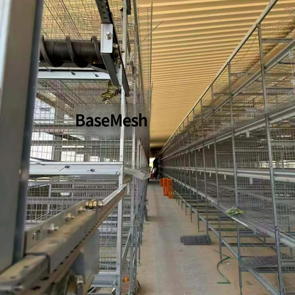 Cages à poulets de chair galvanisées empilables avec système automatique d'élimination du fumier