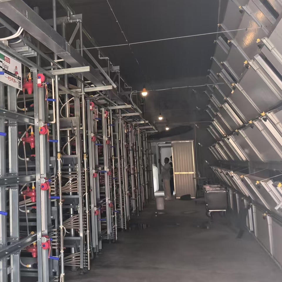 Cage à poulets automatique multicouche H-Type avec collecte d'œufs et ventilation optimisée