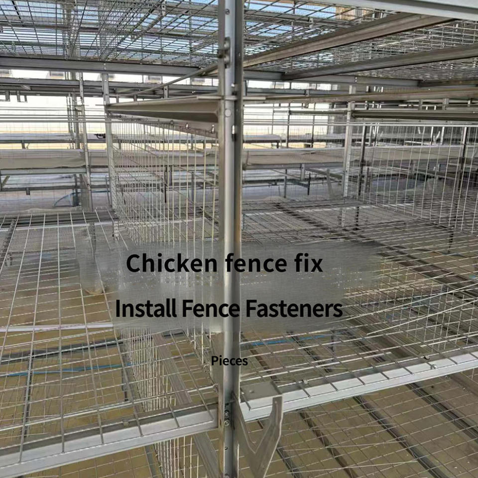 Cages à poulets de chair galvanisées empilables avec système automatique d'élimination du fumier