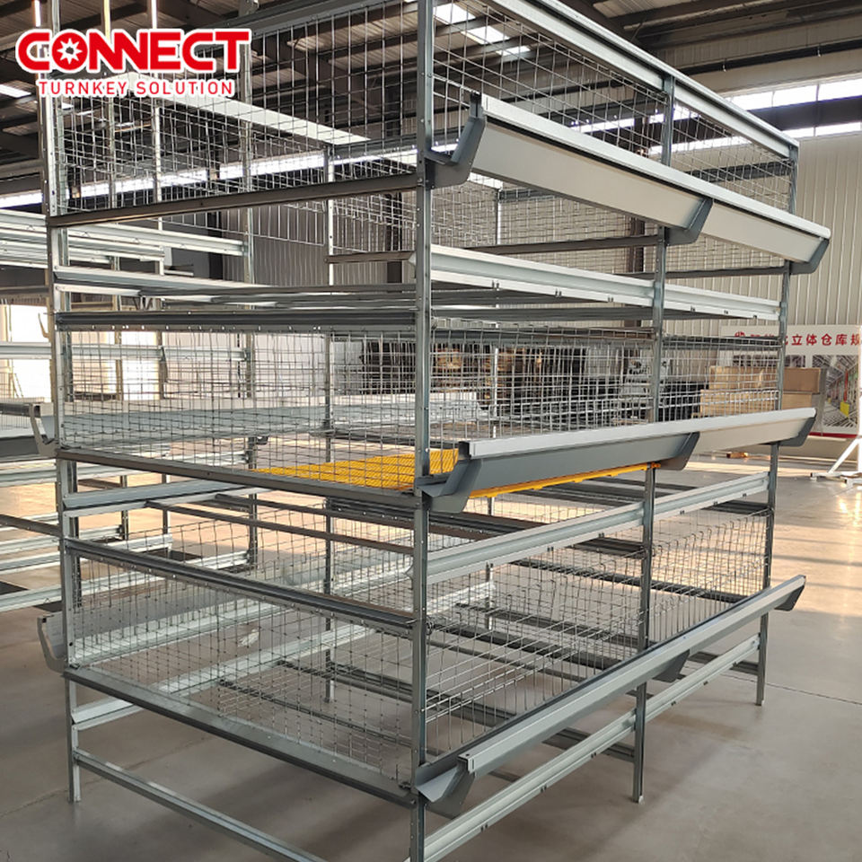 Système de cages en batterie pour poulets de chair - Élevage avicole industriel