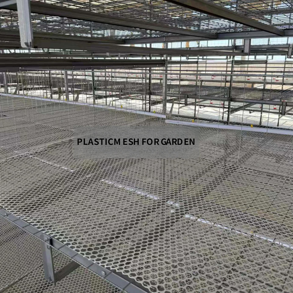 Cages à poulets de chair galvanisées empilables avec système automatique d'élimination du fumier
