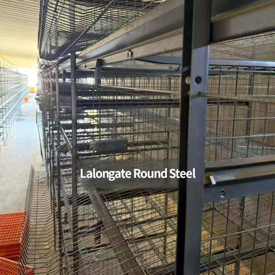 Cages à poulets de chair galvanisées empilables avec système automatique d'élimination du fumier