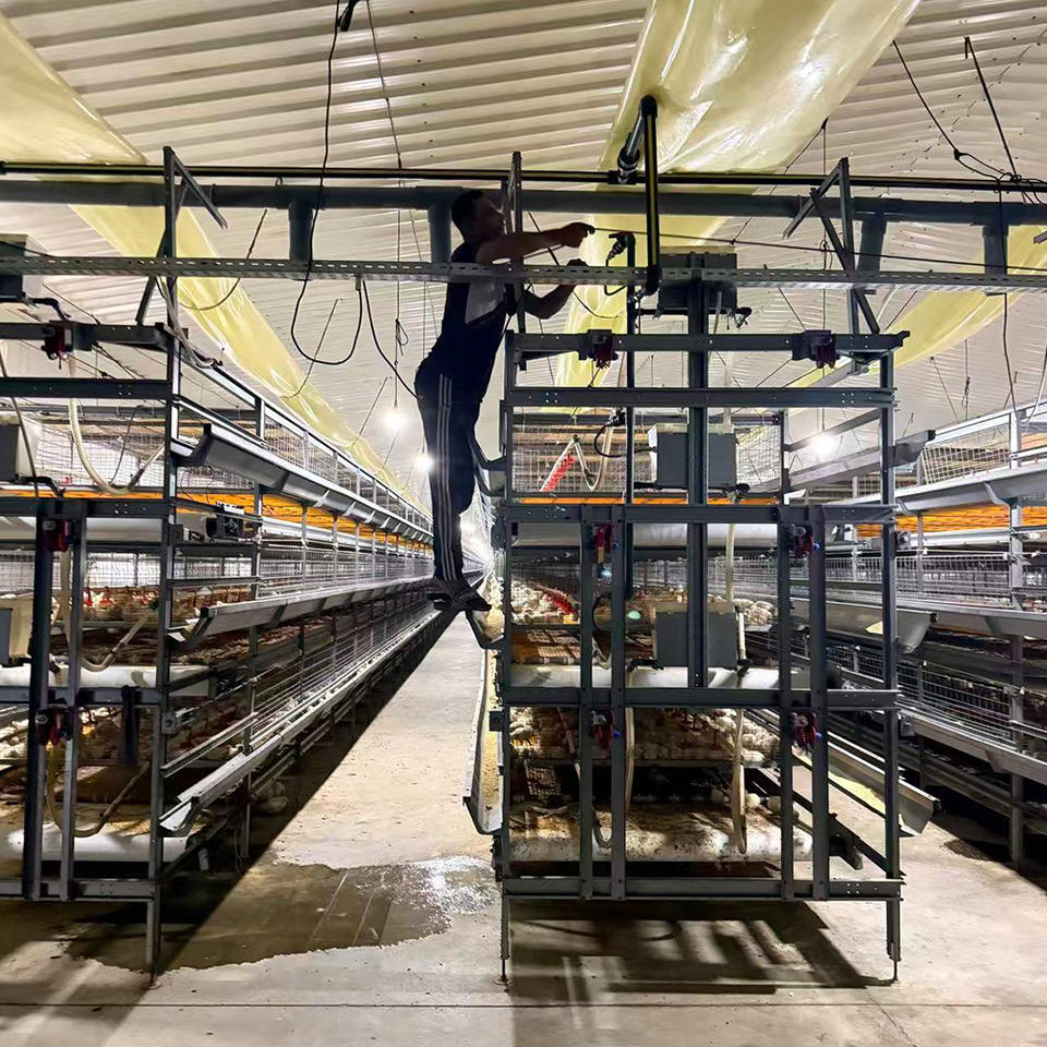Cages à poulets de chair multi-étages à longue durée de vie avec système de ventilation