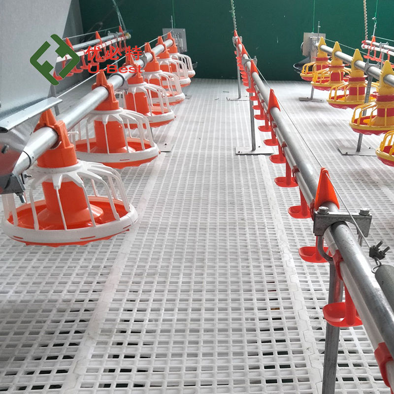 Distributeur automatique pour volaille en plastique pur - Abreuvoir et mangeoire